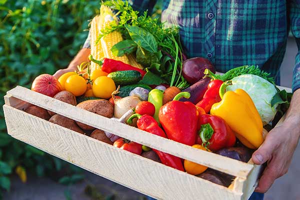 Fruit Box Delivery