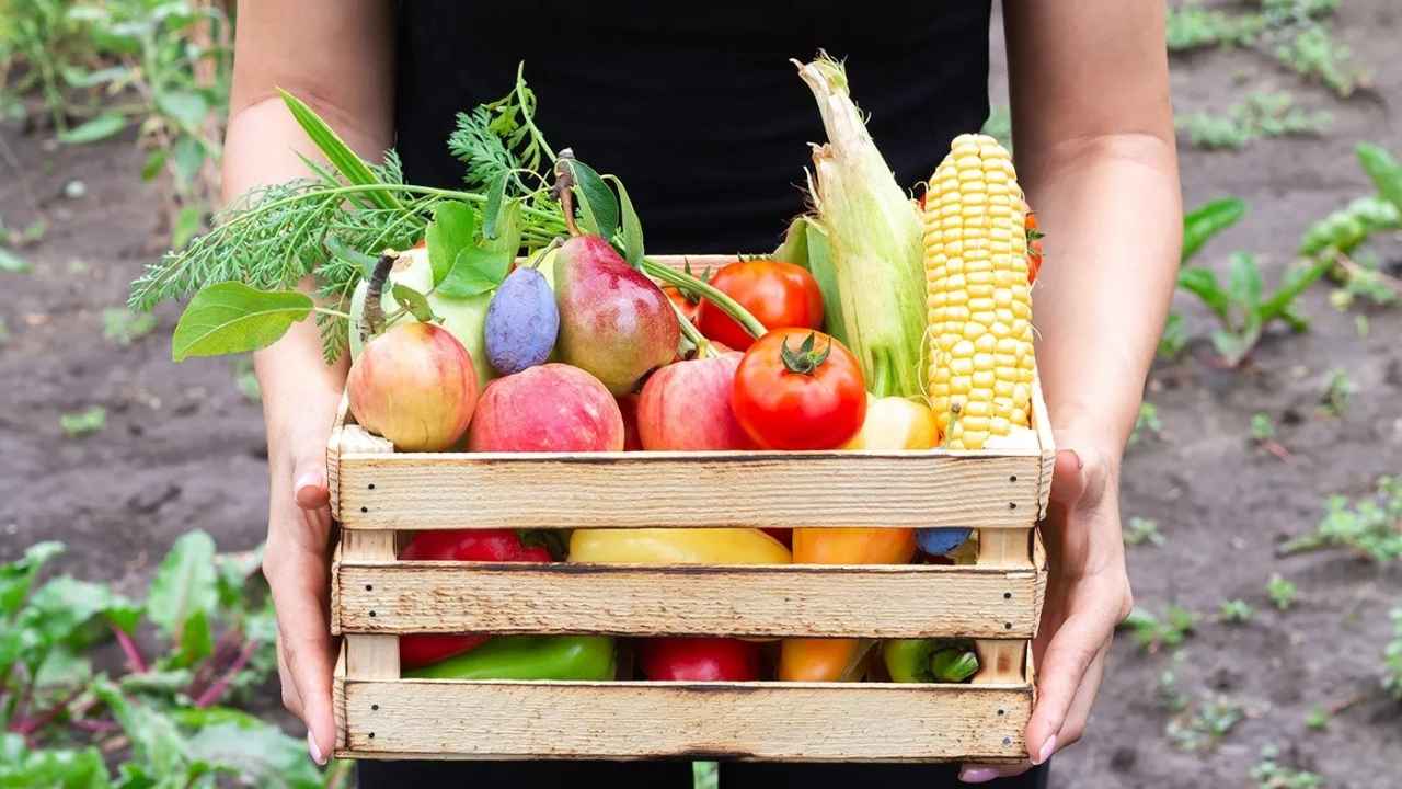 5 Reasons to Switch to Fresh Produce Delivery in the UK